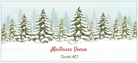 joyeuses_fetes_ACI