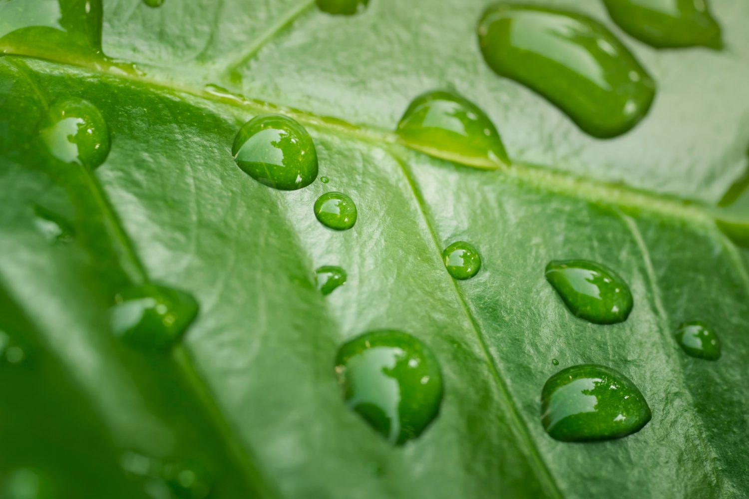 rse-developpement-durable-30-ans