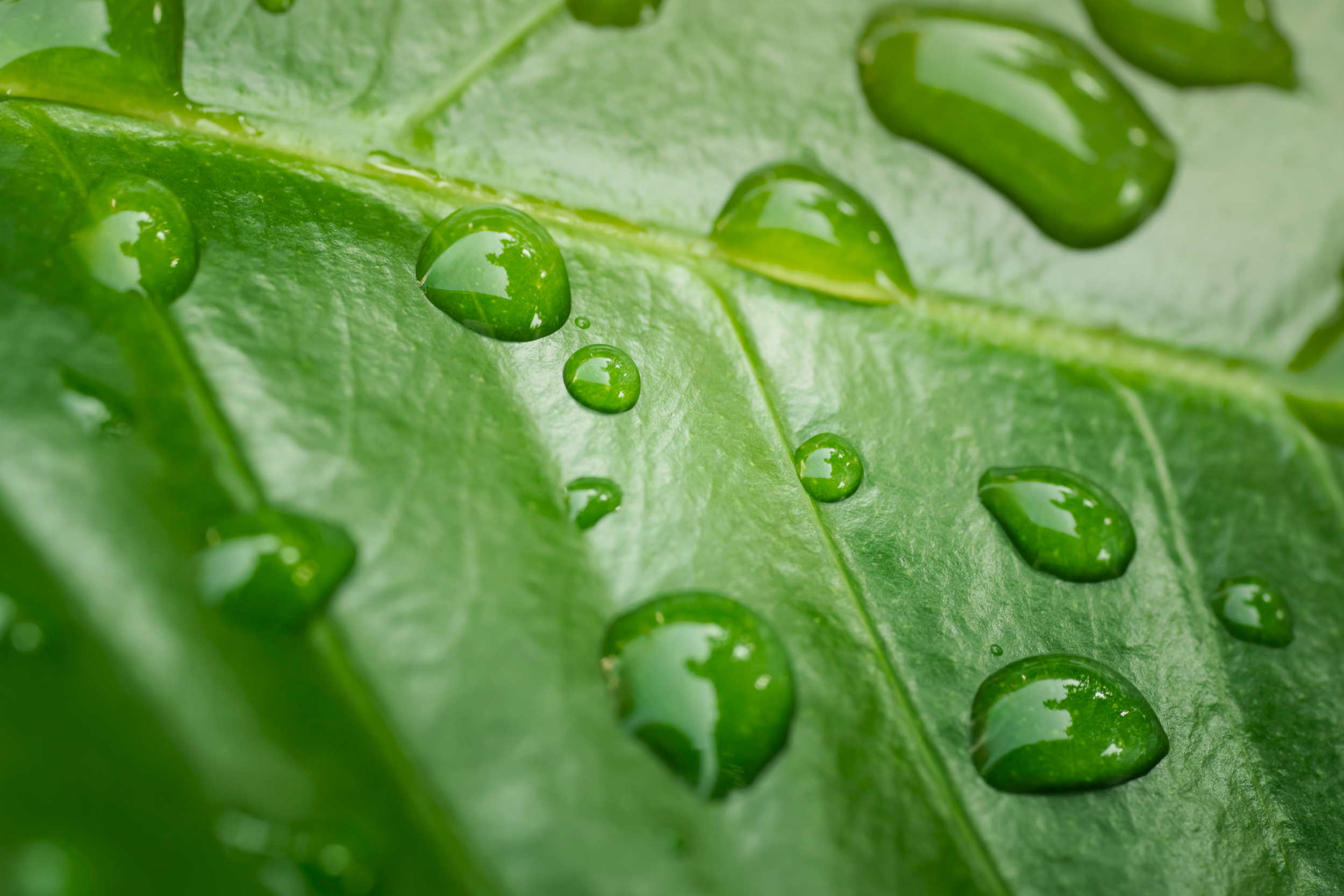 rse-developpement-durable